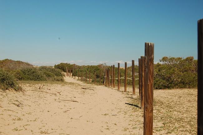 Apartamento Pinada Beach- La Mata La Mata  Eksteriør billede